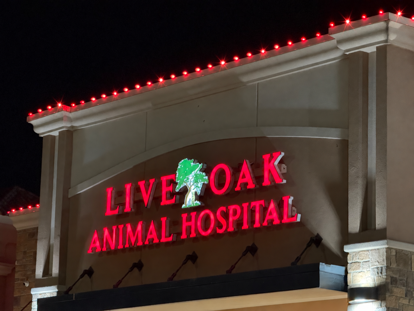 Commercial property with outdoor Christmas string lights in trees