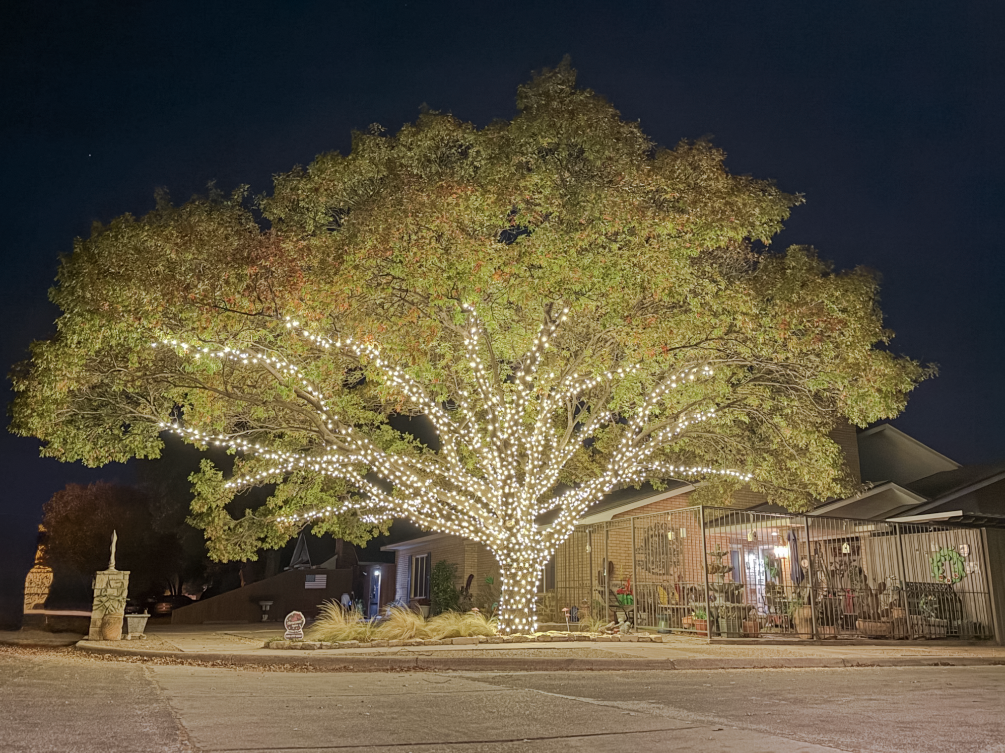 LBK Christmas Lights installation project