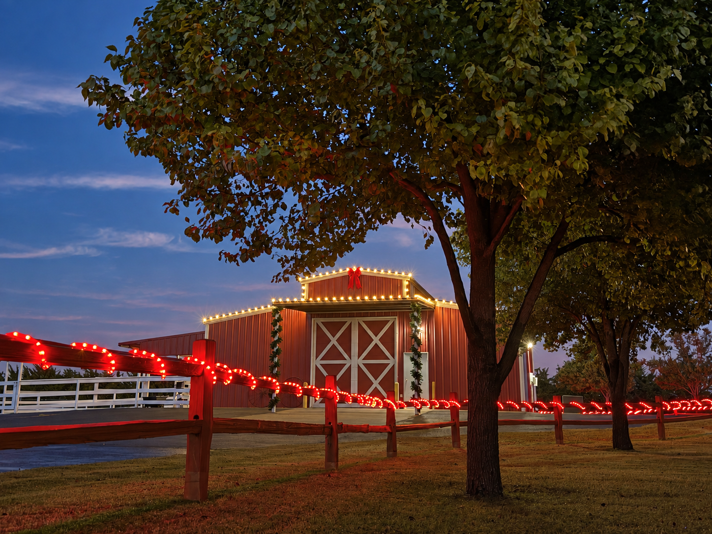 LBK Christmas Lights installation project